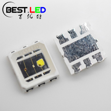 5050 SMD 3 in 1 Custom LED