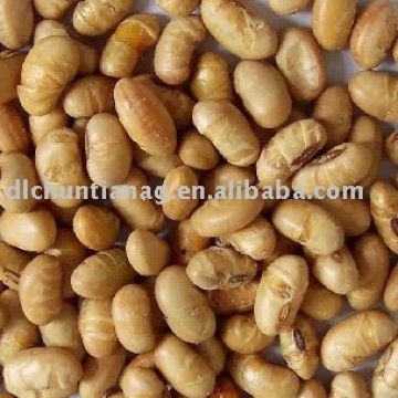 instant organic roasted soybean