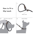 Durable Dog Slip Rope Leash