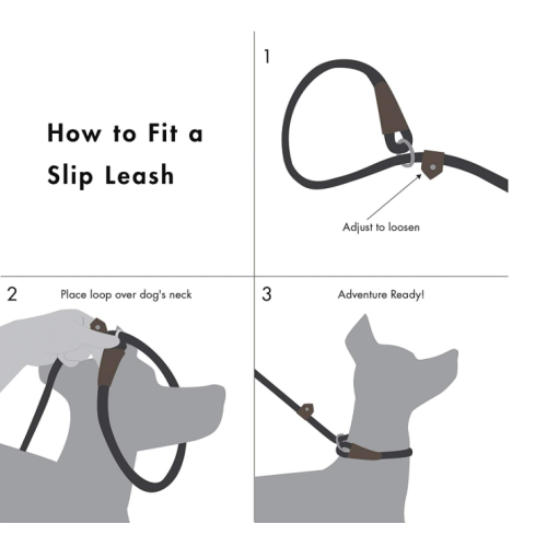 Durable Dog Slip Rope Leash