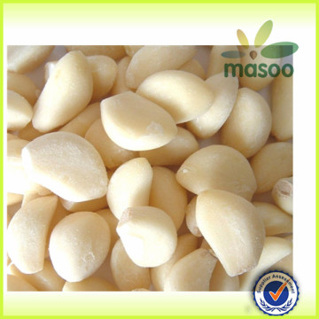 Chinese Fresh garlic, Fresh Vegetables, good quality