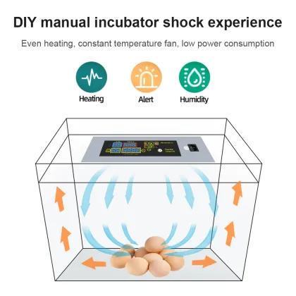 Eggs Incubator Part: Incubator Temperature Controller