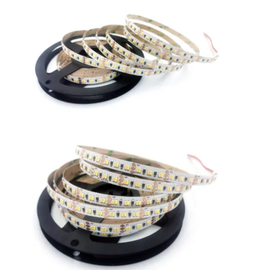 High Bright 240LEDs Flexible LED Rope Ribbon Tape Light - Warm White/Blue 6000K DC12V/24V