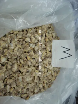 tasty and delicious high quality frozen cooked short necked clam meat without shell