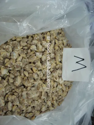 frozen seafood boiled clam meat