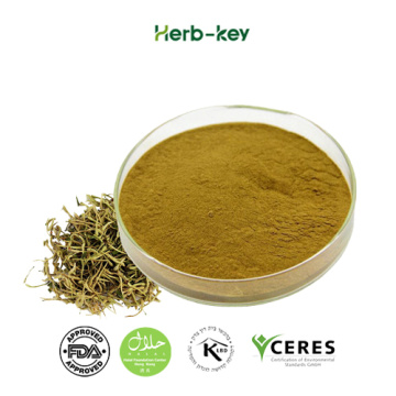 Antibacterial honeysuckle extract 5% chlorogenic acid