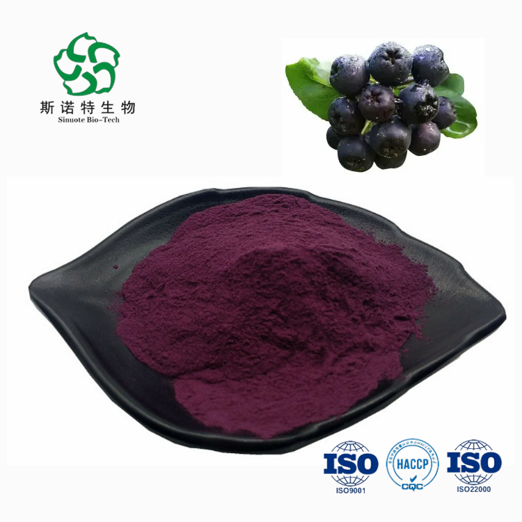 Water Soluble Black Chokeberry Juice Powder