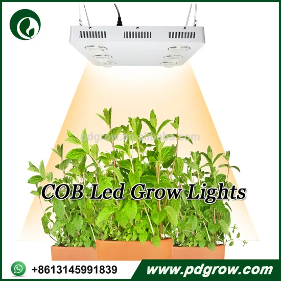 600W CXB3590 Led Grow Lights COB CD Bin Full Spectrum Item153