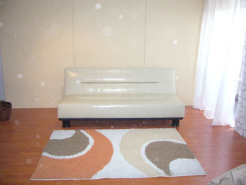leather sofa bed
