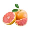 Food Supplement Use High Purity pink grapefruit powder