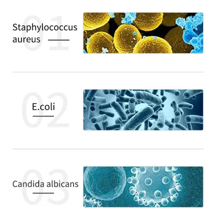 500ML Water Free Hand Gel Aloe Flavor