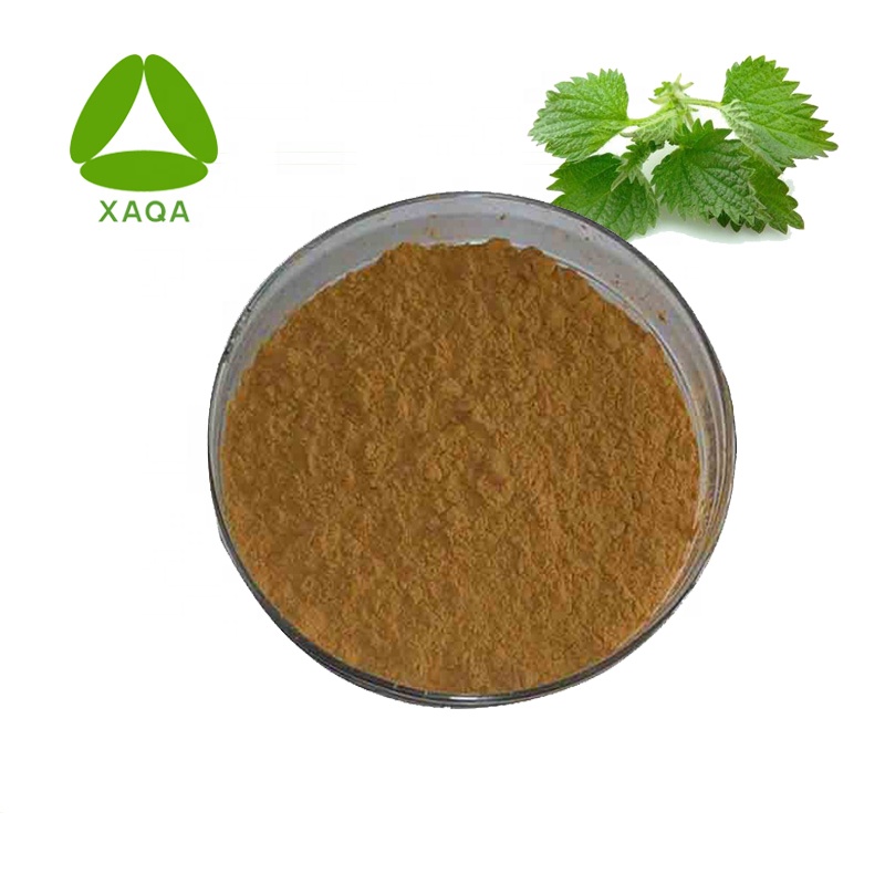 Nettle Root Extract Powder Herbal Natural Ingredients