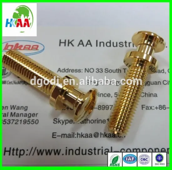 China factory sales gold plated solid brass chicago screws