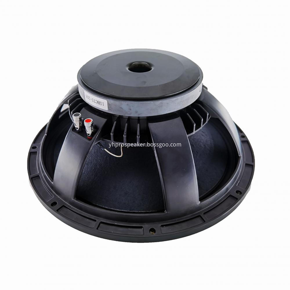 15 inch stage speaker for outdoor show