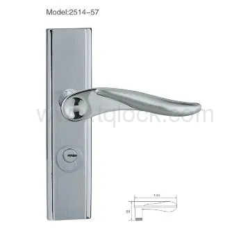 Elegant and special design mortise lock