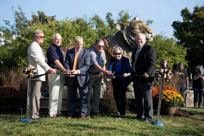 world's largest golden tiger stone carving marble tiger sculpture