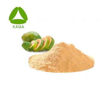 Vruchtensap Poeder Papaya Extract