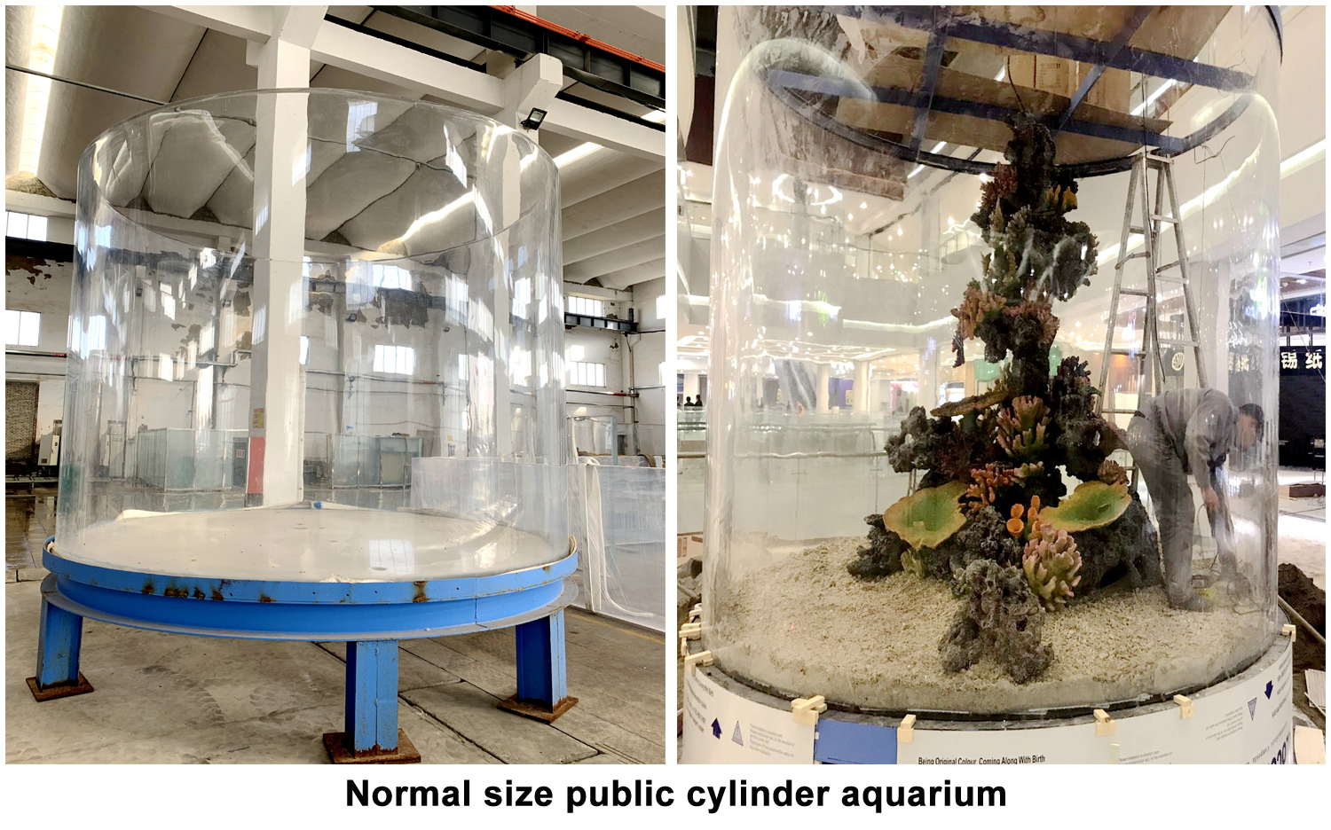 Acrylic cylinder fish tank 