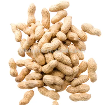 Roasted and salted peanut in shell peanut inshell