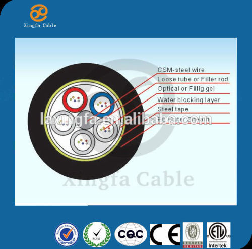 China GYTA/GYXTW/GYFTY/GYTS/GYXTC8S/ADSS tyco fiber optics