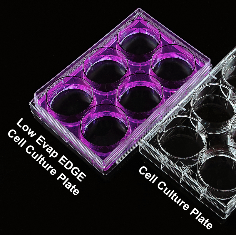 6 Well Edge Cell Culture Plate