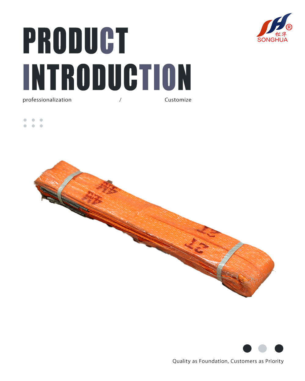 Color polyester webbing sling(1)