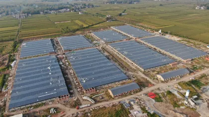 Modernized Pig Farming Project in Linquan County Fuyang