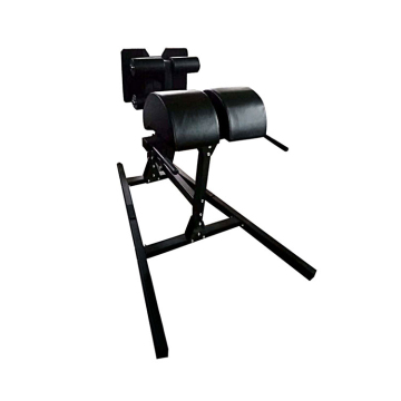 Sport Plate Loaded Machines Extension Hyperextension Back Exercise Abdominal Bench Roman Chair