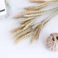 20 Stems Natural Dried Flowers Decorative Flowers Wheat Ear Bouquet Dried Branches Wedding Decoration Flower Wreath DIY