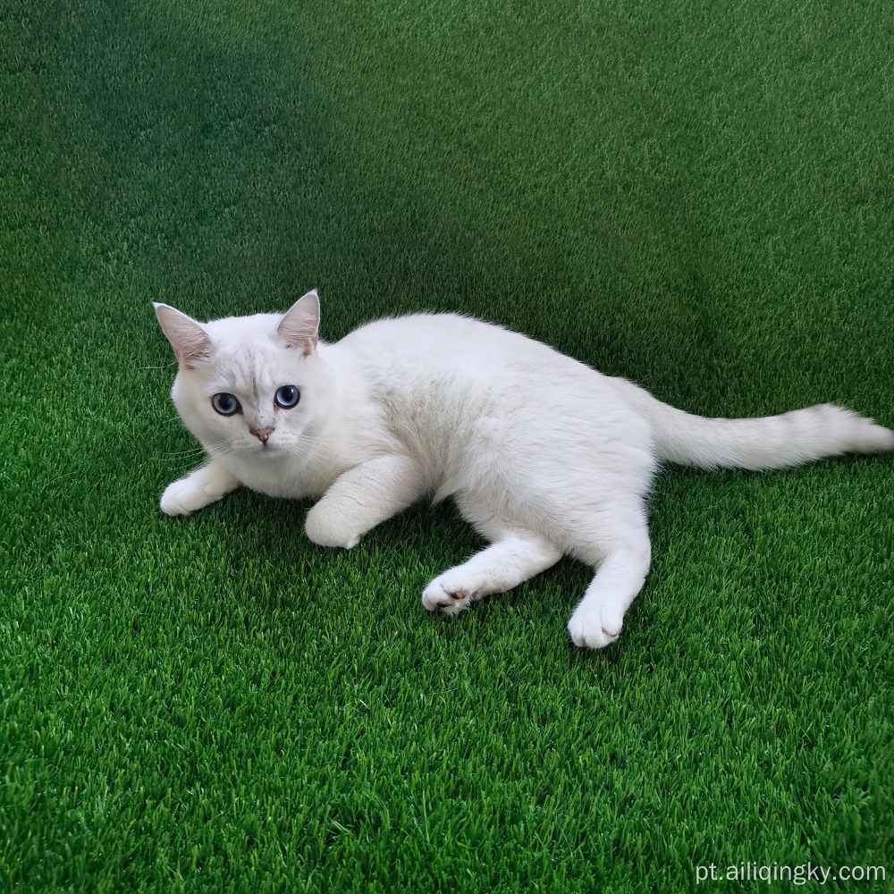 Grama falsa para cães gatos