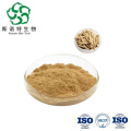 Achyranthes Bidentata Extract for Joint Health