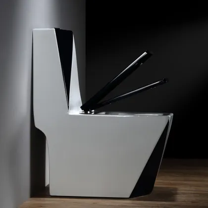 Black One-Piece Ceramic Bathroom Toilet with White P-trap/S-trap