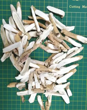 Top Quality Paeoniae Radix Alba