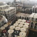 12 Gauge Electro Galvanized Wire/Electro Galvanized