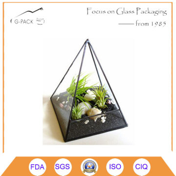 Air Plant Terrarium Glass Pyramid Terrarium Planter.