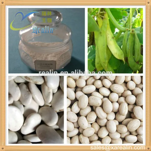 White Kidney Bean Protein Powder Capsules, High Quality White Kidney