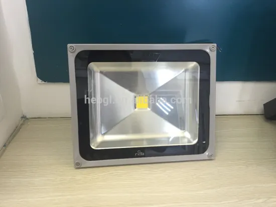 SKD 50W COB LED Flood light
