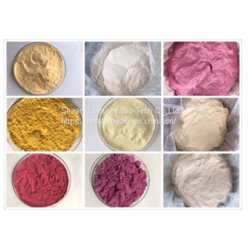 Premium Plum Powder for Antioxidant-Rich Smoothies and Beverages