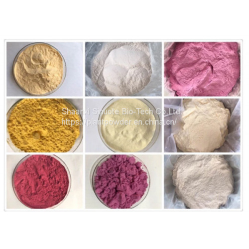 Premium Plum Powder for Antioxidant-Rich Smoothies and Beverages