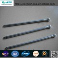 Common Nail polished or galvanized