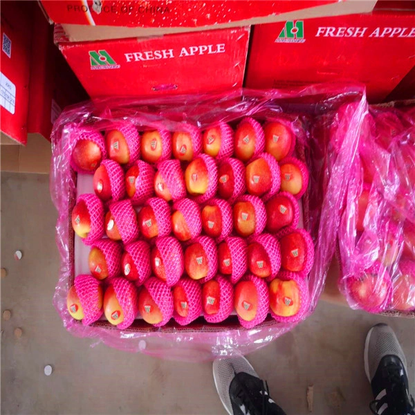 New Crop Fresh Red Gala Apple - China Fresh Apple Red Gala Apple Fruit,  Similar to South Africa Gala