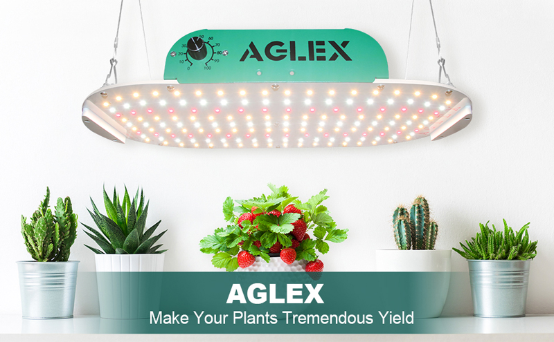 Double Ended Grow Light Kit