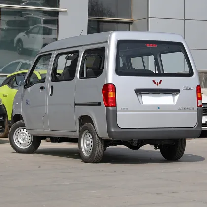 Wulingzhiguang classic wealth-making car