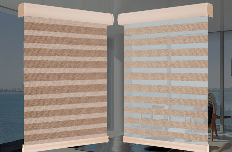 Roller Zebra Blind Curtain