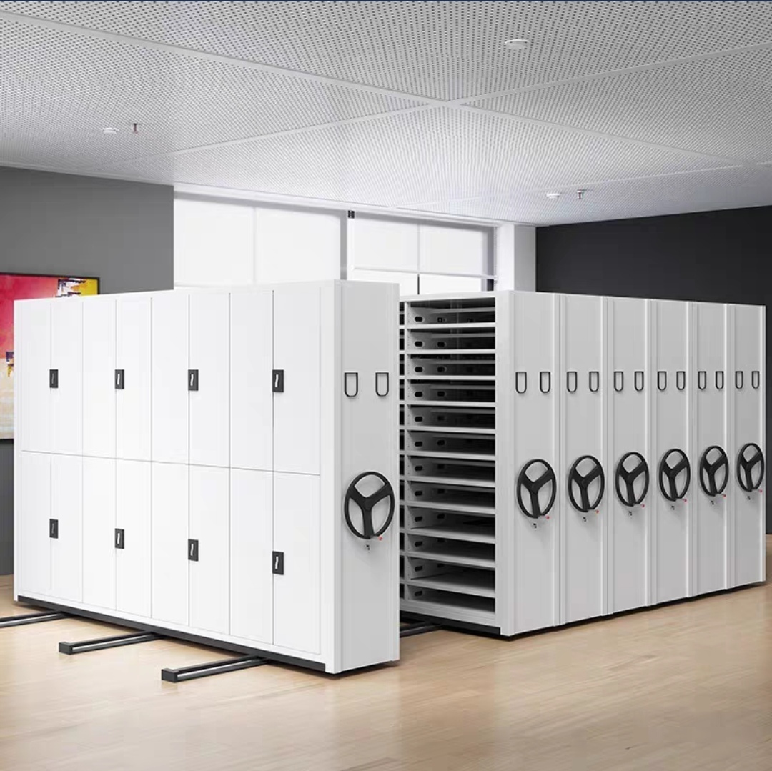 Mobile Shelving System For Archive Cabinets And Electrical Storage ...