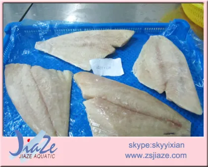 Brama fillet seafood frozen fish fillet