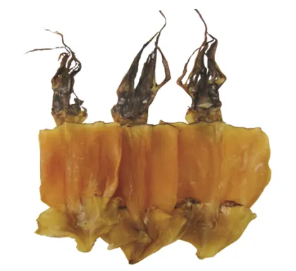 DRIED SQUID (PERU) SEAFOOD
