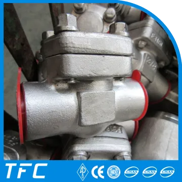 stainless steel spring return check valve