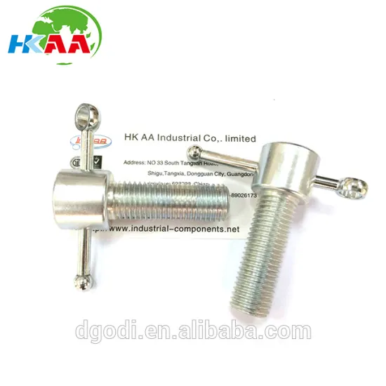 Custom machining stainless steel 316 t handle bolt for sale