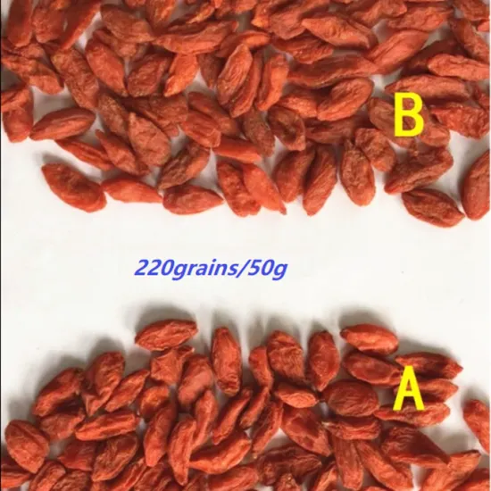 220 grains/50g Ningxia factory Goji berry